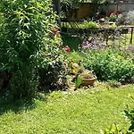 Camp Thea, Glamping Tent Yurtas In Rose Resort