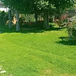 Camp Thea, Glamping Tent Yurtas In Rose Resort Mrse