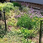 אוהל מפואר Camp Thea, Glamping Tent Yurtas In Rose Resort Mrse