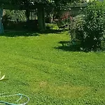 Camp Thea, Glamping Tent Yurtas In Rose Resort