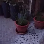 אוהל מפואר Camp Thea, Glamping Tent Yurtas In Rose Resort *