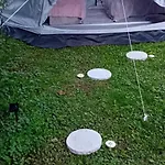 Camp Thea, Glamping Tent Yurtas In Rose Resort Mrse