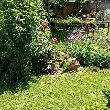 Glamping, Tent Jurta, Outdoor Living