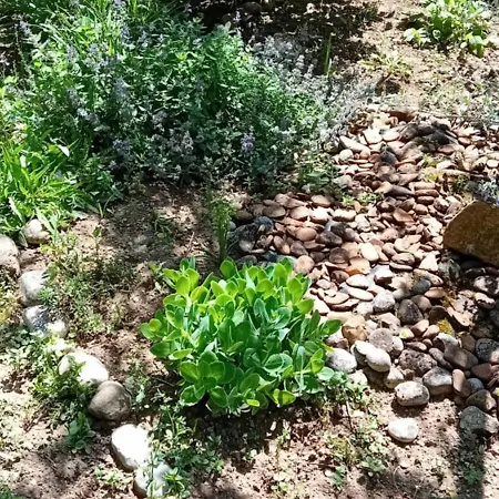 Glamping, Tent Jurta, Outdoor Living Mrse