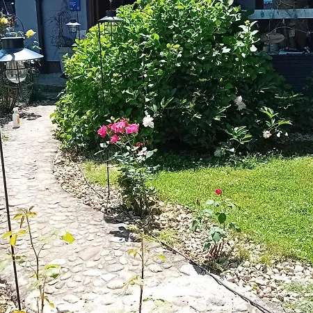 Glamping, Tent Jurta, Outdoor Living * Mrse