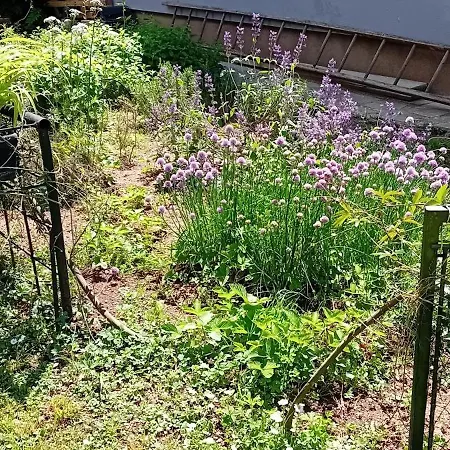 Οργανωμένο κάμπινγκ Glamping, Tent Jurta, Outdoor Living Mrse