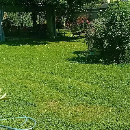 Glamping, Tent Jurta, Outdoor Living