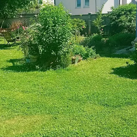 Glamping, Tent Jurta, Outdoor Living