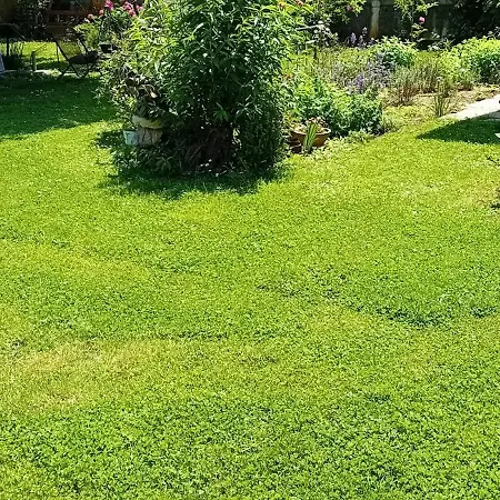 Glamping Camp Thea, Glamping Tent Yurtas In Rose Resort