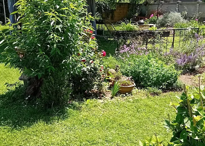 Glamping, Tent Jurta, Outdoor Living