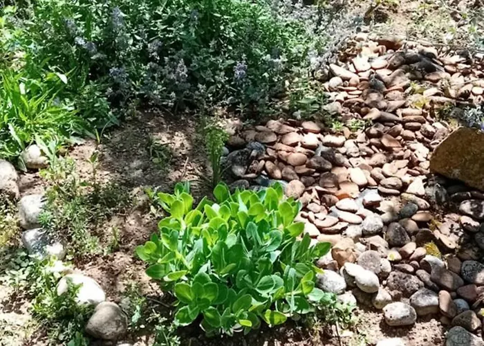 Glamping, Tent Jurta, Outdoor Living Mrse