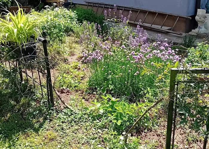 Luksustelt Glamping, Tent Jurta, Outdoor Living Mrse