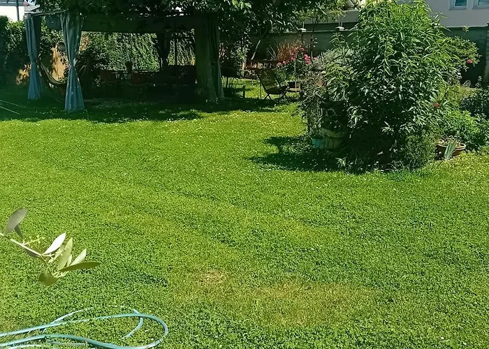 Glamping, Tent Jurta, Outdoor Living