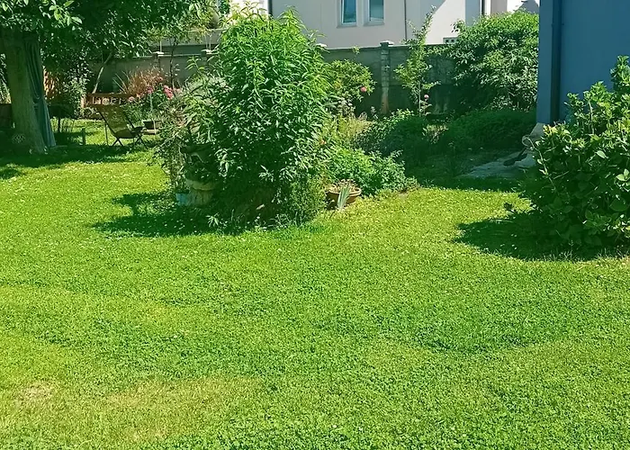 Glamping, Tent Jurta, Outdoor Living