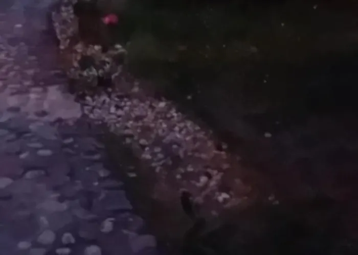 Glamping, Tent Jurta, Outdoor Living * Mrse