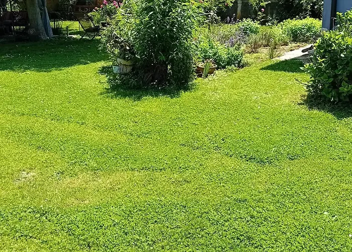 Campo de lujo Glamping, Tent Jurta, Outdoor Living