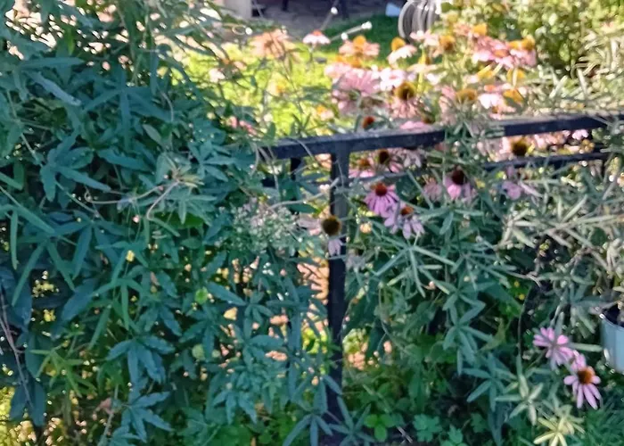 Glamping, Tent Jurta, Outdoor Living Campo de lujo